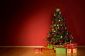 Tree Care Noël - de sorte que vous pourrez déguster sur votre arbre