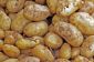 Germ guichet unique pour les pommes de terre - informations utiles