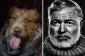 Voici un tas de chiens qui ressemblent exactement écrivains célèbres