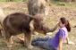 L'incroyable histoire derrière cet éléphant bébé virale vidéo