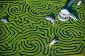 Longleat Hedge Maze: Le plus long du monde