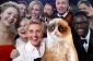 Oscars 2014: Les gagnants Ellen Degeneres Selfie Top 5 Memes