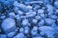 Congelés bulles d'air dans le lac Abraham