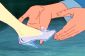 Disney a demandé plus grands designers du monde pour rendre les pantoufles de verre de Cendrillon dans réel, chose étonnante