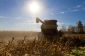 Quel est l'agro-industrie aux États-Unis?