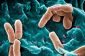 Top 10 des infections bactériennes les plus dangereuses