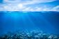 Combien y at-il des océans sur Terre?