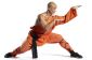 Quelle est la différence entre le karaté et le kung-fu?