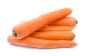 carottes fourragères de magasin correctement - comment cela fonctionne: