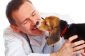 Comprimés vermifuges pour chiens - fonctionne si la dactylographie