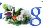 Google Doodle Ina Garten pour des recettes de Thanksgiving