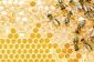 Miel de apiculteurs - En savoir pour les acheteurs