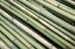 Rideau de bambou pendaison - il vous faut payer