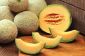 Éclosion de listériose Invites Rappel des cantaloups dans 17 États