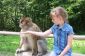 Visitez Monkey Park in NRW - donc réussit de
