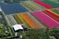 Photos aériennes de champs de tulipes aux Pays-Bas, par Normann Szkop