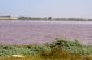 Le Lac Rose au Retba, Sénégal