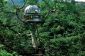 Les 20 plus étonnants Tree Houses dans le monde