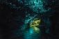 Waitomo Glowworm Caves, Nouvelle-Zélande