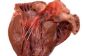 Valves auriculo-ventriculaires et rabats de poche - différence facilement expliquées