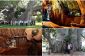 Sunland Baobab - Un bar à l'intérieur d'un arbre évidé