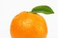 Où Orange vient - le Tropical Fruit sous le microscope