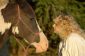Horse Whisperer - Equitation de formation