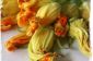 Squash Blossoms: un régal de printemps doux