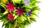 Fleurogami - des instructions pour des fleurs en papier astucieux pliage