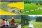 Montagnes karstiques et les rizières de Tam Coc, Vietnam