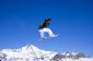 Bon Snowboard Intermédiaire - afin de choisir le droit de