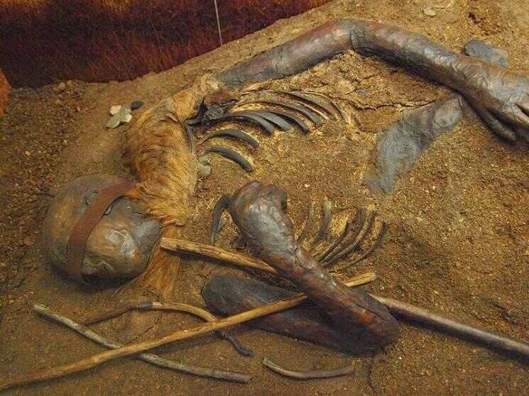 Tollund Man, The 2400 Year Old Body Bog