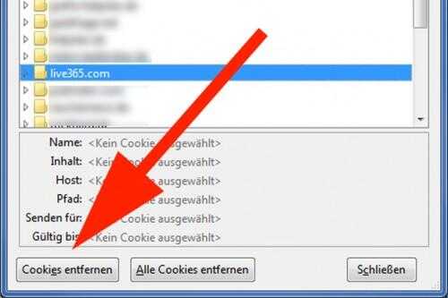 Comment puis-je supprimer les cookies dans Firefox?