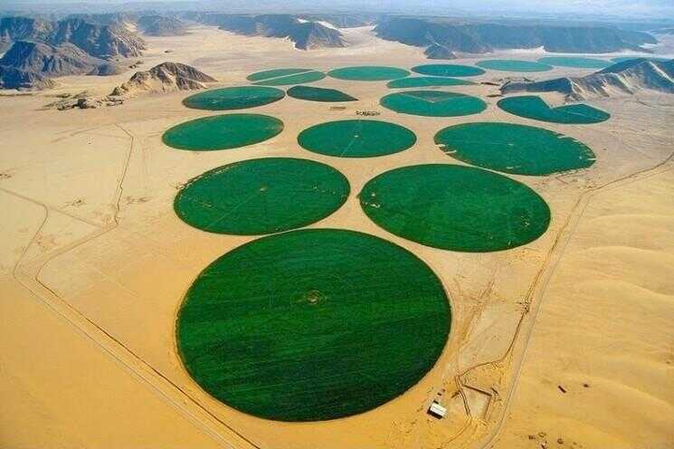 L'agriculture biologique dans les déserts de Wadi Rum