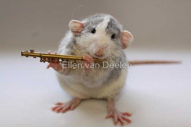 Musiciens de rat Adorable par Ellen van Deelen