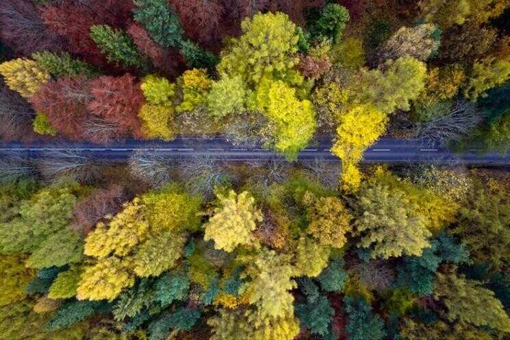 Photos aériennes de Kacper Kowalski de forêts de la Pologne à l'automne