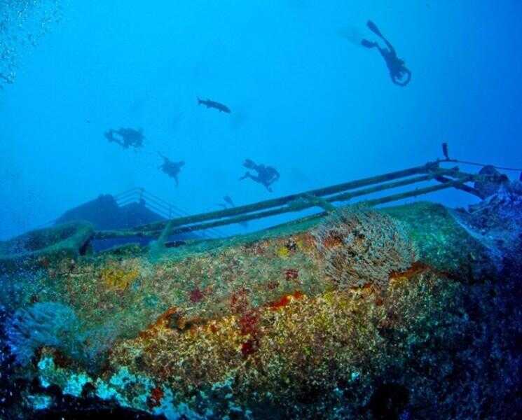 Exposition de photos sous-marine chez Artificial Reef à Florida Keys