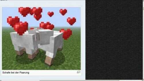 Minecraft: poulets d'alimentation - comment ça marche