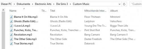 Sims 3: Ma Musique - Remarques