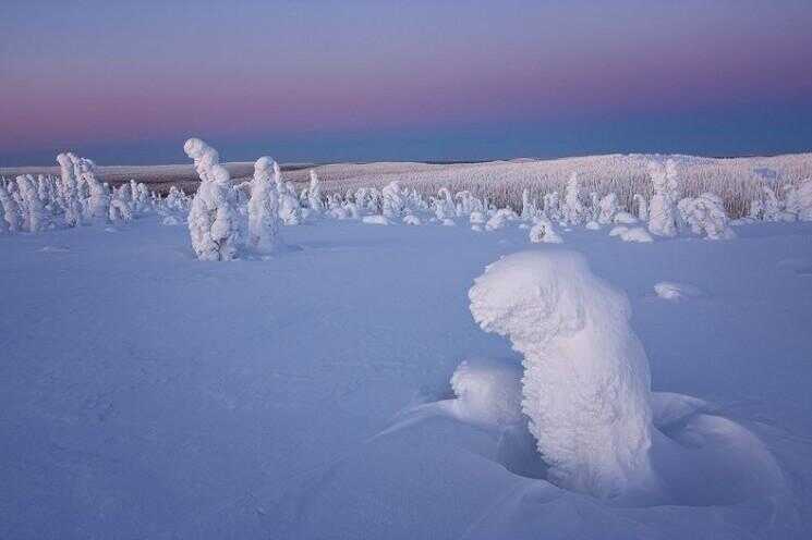 Arbres gelés de l'Arctique: Photographies par Niccolò Bonfadini
