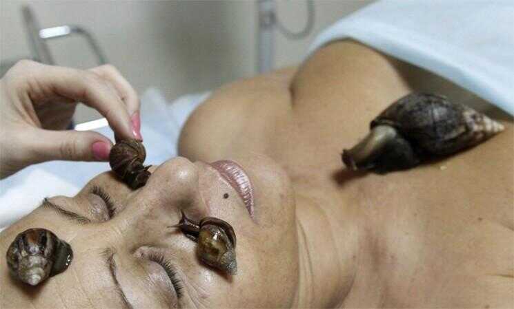 Slimy Snail Massage: The Latest Fad Beauté