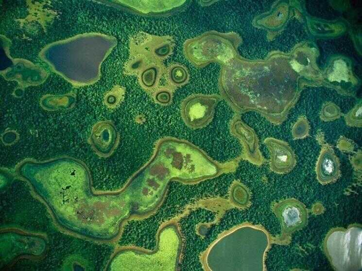 Pantanal, le plus grand marécage d'eau douce du monde