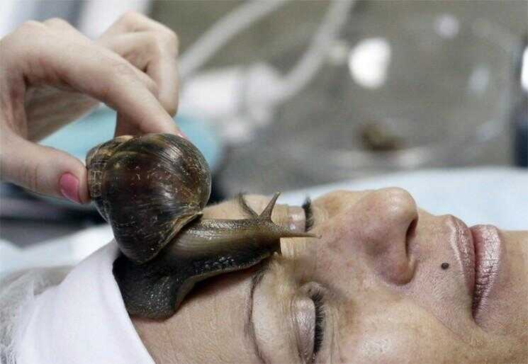 Slimy Snail Massage: The Latest Fad Beauté