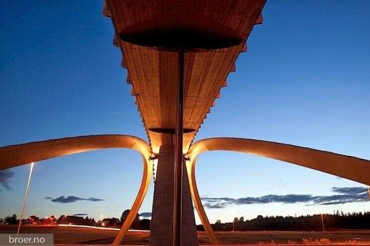 Golden Horn Pont de Léonard de Vinci