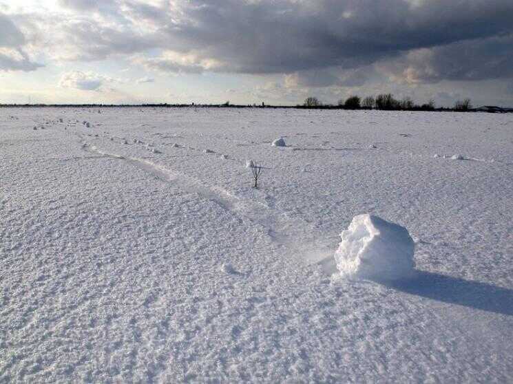 Rouleau de neige: un phénomène météorologique étrange
