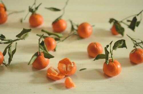 Tangerine Basil Mojitos