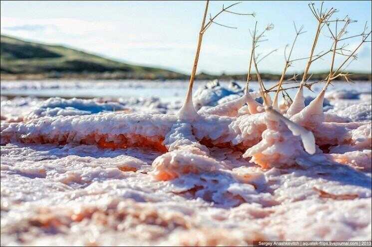 Syvache sel Lagoons dans la péninsule de Crimée