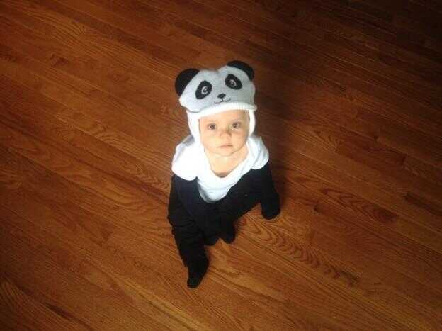 Alors que le Panda Cam Is Down, faux bébé panda est là pour vous aider