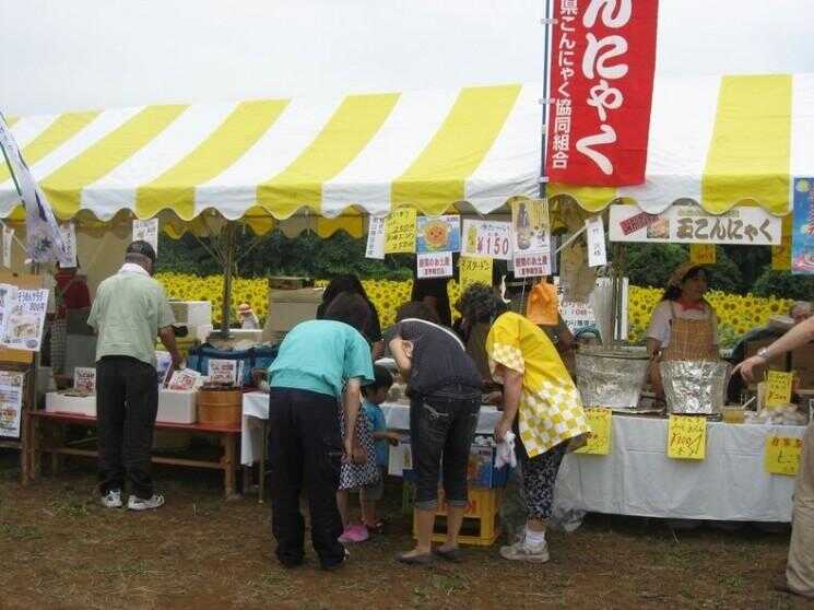 Festival de tournesol à Zama, au Japon