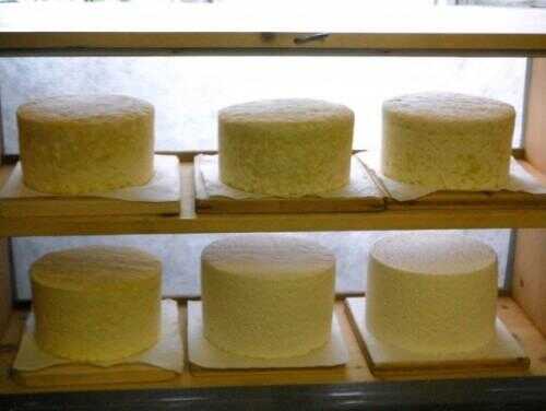 Graukäse: à la recherche du premier fromage